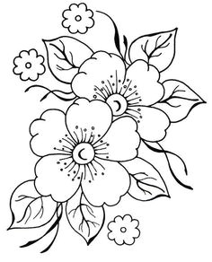 Flowers Drawing Easy with Names 215 Best Flower Sketch Images Images Flower Designs Drawing S