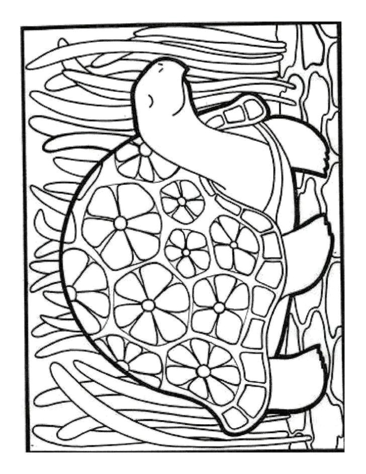 Flowers Drawing for Colouring Elegant Frog with Flowers Coloring Page Fym Me