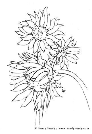 Flowers Drawing for Painting Simple but Nice Could Be the Start Od A Good Mixed Media