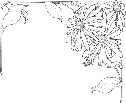 Flowers Drawing Gif aster Flower Coloring Pages and Printable Woodburning Aquarell