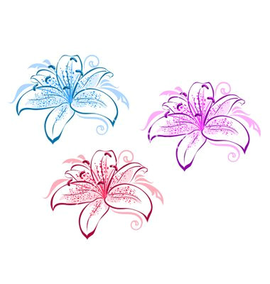 Flowers Drawing Images with Names Lily Flower Design Google Search What I Love Pinterest