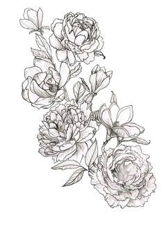 Flowers Drawing Reference 105 Best Lovely Flower References Images Peonies Tattoo Peony