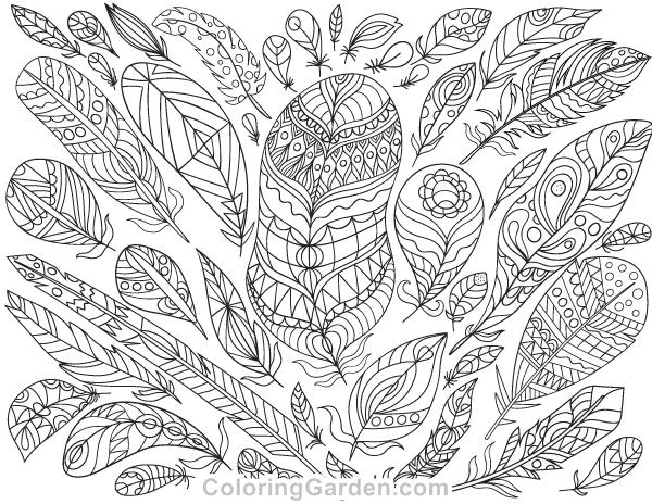 Flowers Drawing Sheets Adult Coloring Pages Colored Luxury Adultcolor Pages Feather