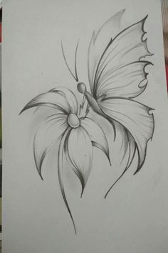 Flowers Drawing Telugu Lily Flowers Drawings Flowers Madonna Lily by Syris Darkness