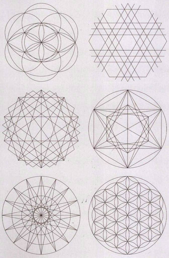 Flowers Geometric Drawing Geometric Inspiration Geometria Sagrada Pinterest