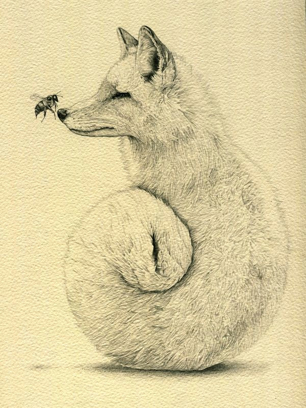 Fox Drawing Tumblr Pin by Kate Willis On Tattoo Ideas Pinterest Art Drawings and