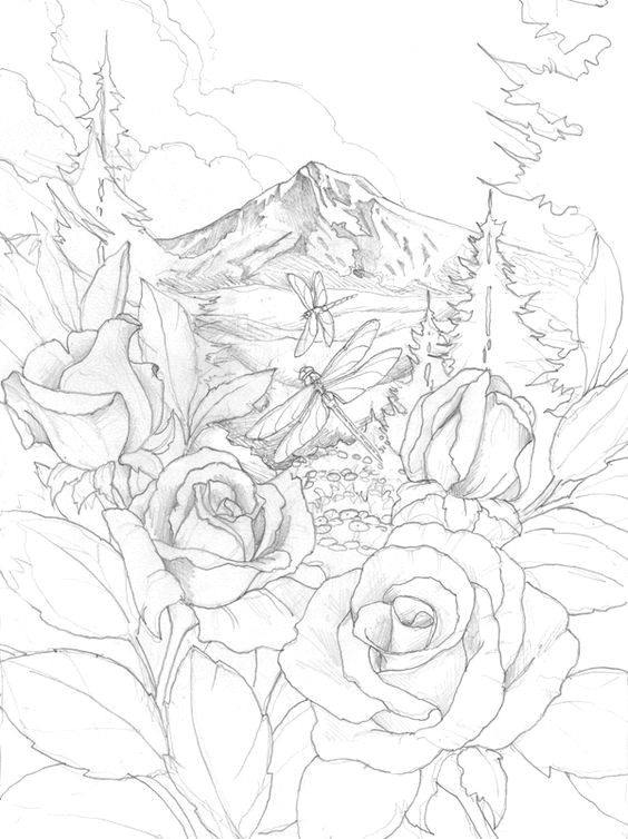 Free Drawing Of A Rose Pin Von Diana Kartasheva Auf D D N Don D N Dod Pinterest Coloring Pages