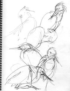 Gesture Drawing Flowers 291 Best Gesture Drawing Images Drawing Poses Gesture Drawing