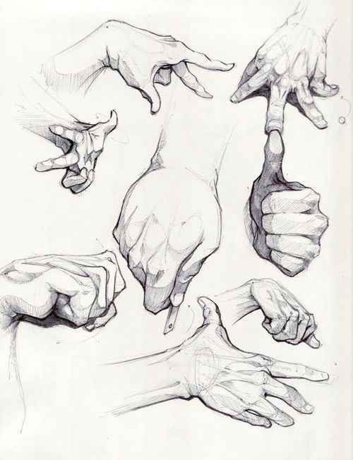 Gesture Drawing Reference Tumblr Tumblr Hand Reference Leonardo Da Vinci Pinterest Hand