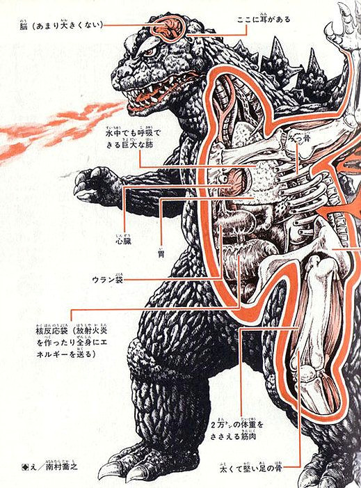 Godzilla Drawing Cartoons 2 Monsters Anatomy Shoji Otomo Shogo Endo Godzilla and A Few