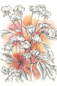 Good Drawing Flowers 178 Best Drawing Flowers Images Paintings Drawing Flowers Drawings