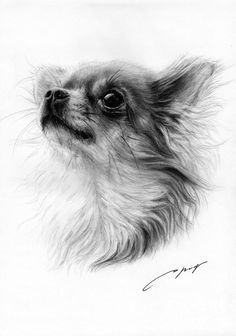 Good Drawing Of A Dog 37 Best Dog Sketches Images Pencil Drawings Graphite Drawings