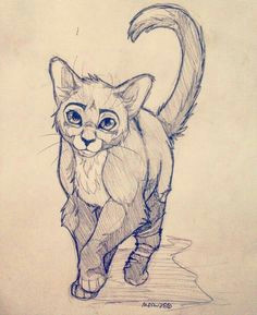 Good Drawings Of A Cat 396 Best Warrior Cat Art Images In 2019 Warrior Cats Cats