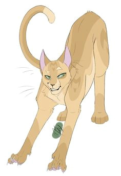Good Drawings Of A Cat 822 Best Warriors Images Warrior Cats Warrior Cat Drawings Warriors