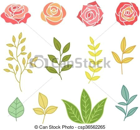 Graphic Drawings Of Flowers Hand Drawn Botany Set Of Flowers and Leaves Vector Stock