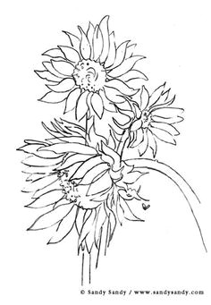 Graphite Drawing Flowers 1724 Best Pencil Drawings Images Drawing Techniques Pencil