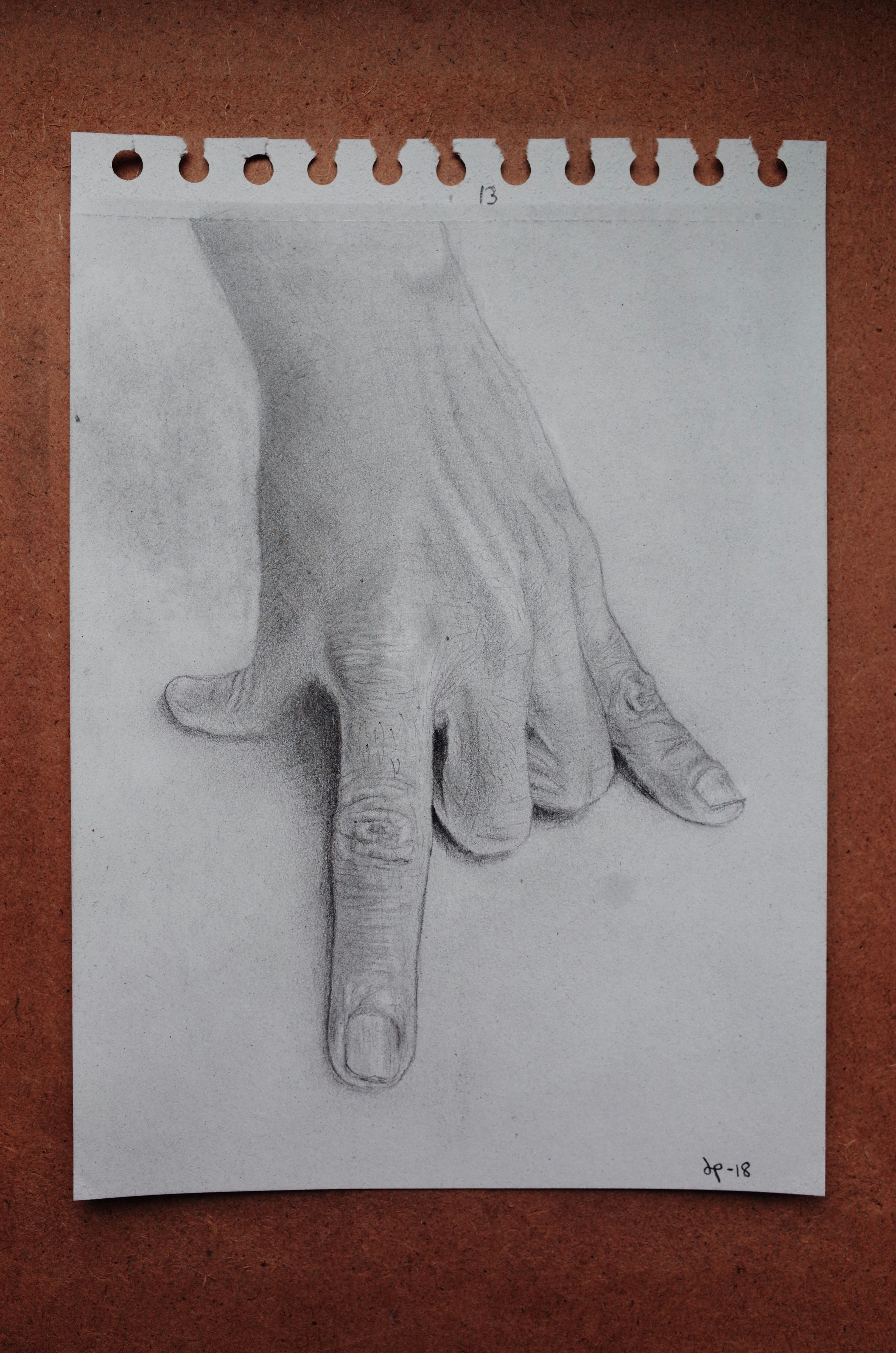 Graphite Drawings Of Hands Hand Number 13 100 Drawing Graphite Hands Drawings