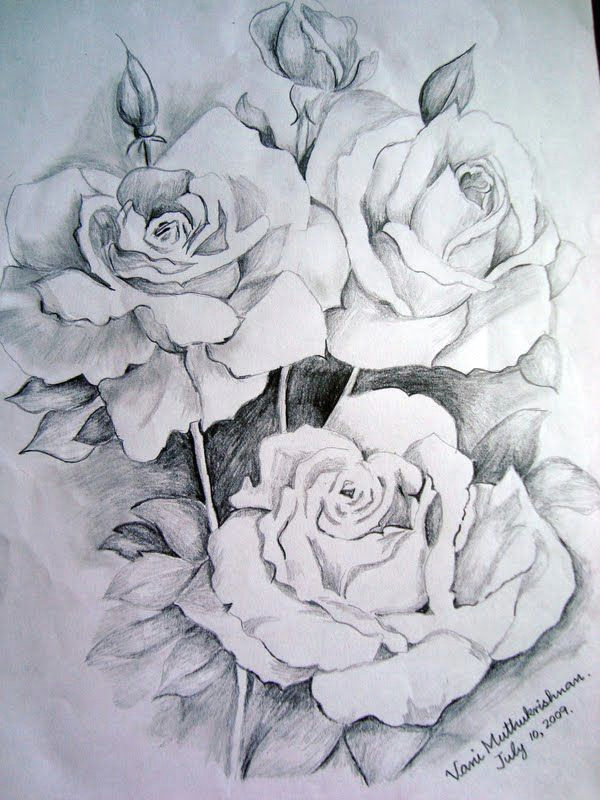 Graphite Pencil Drawings Of Flowers Flower Drawings Thanks to Graphite Pencil Drawings by Suzanne
