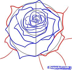 Guided Drawing Of A Rose 100 Best How to Draw Tutorials Flowers Images Drawing Techniques