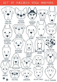 H Dog Drawing 491 Best Draw Dogs Images In 2019 Drawings Animal Drawings Draw