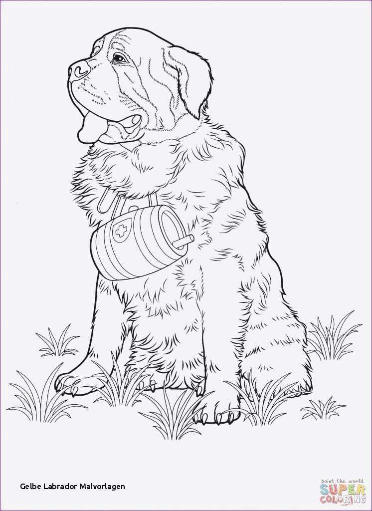 H Dog Drawing Malvorlagen Hundertwasser H User Best Wallpaper