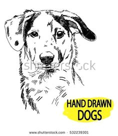 Hand Drawing Of A Dog 114 Best Dogs Images Fraternity butler Dogs