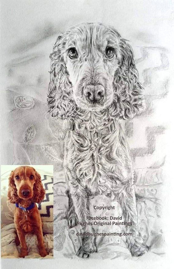 Hand Drawing Of A Dog Custom Dog Drawing Dog Portraits Dog Drawings Dog Pencil Drawing