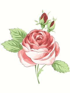 Hand Drawing Rose Flowers Bellas Ilustraciones Cvijea E Od Fondana In 2018 Pinterest