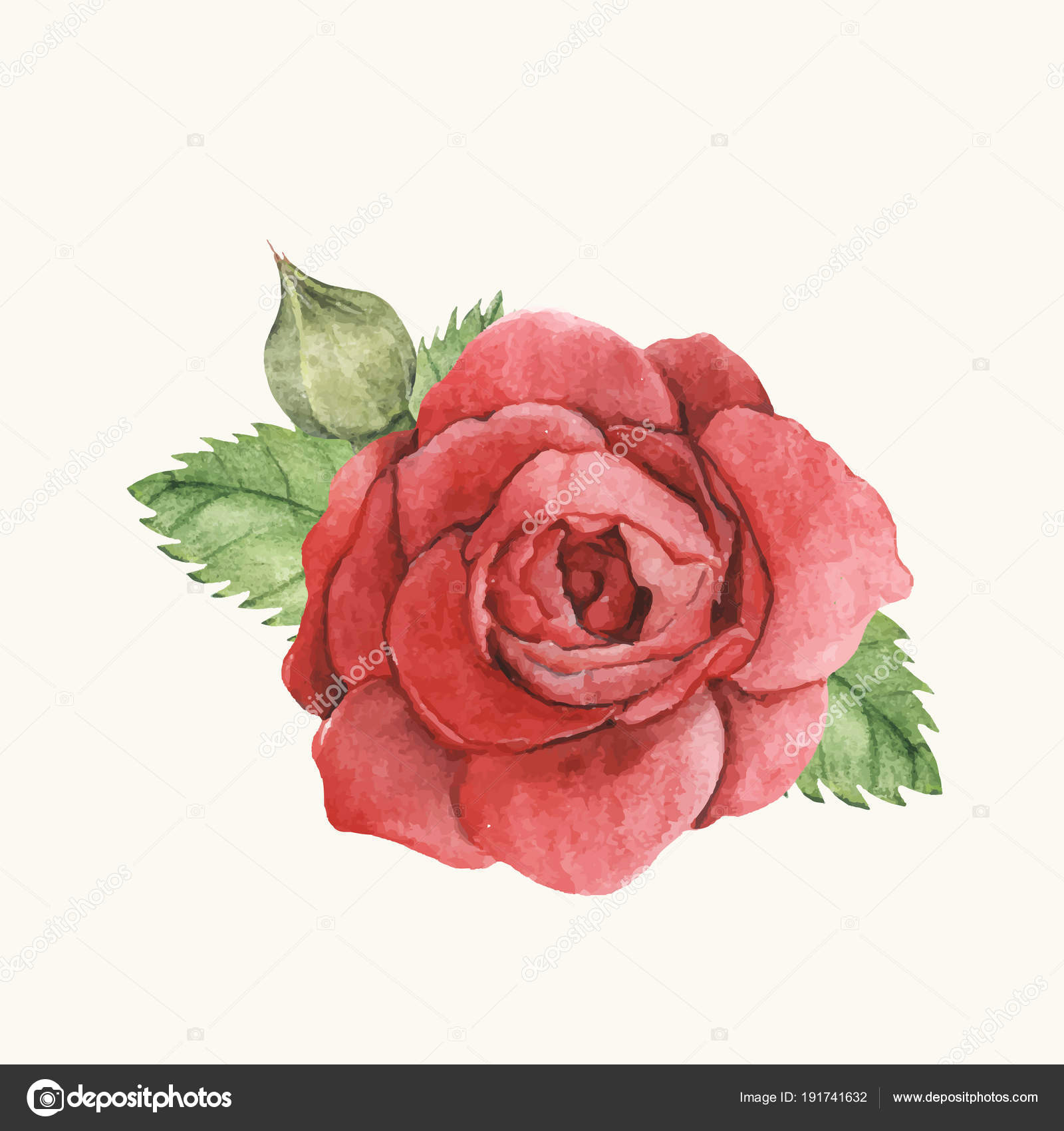 Hand Drawing Rose Flowers Hand Drawn Red Rose isolated Stock Photo A C Rawpixel 191741632