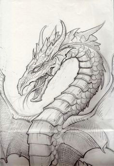 Hard Drawings Of Dragons 216 Best Dragons for Carving Images Pencil Drawings Dragon Sketch