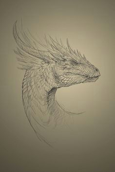 Hard Drawings Of Dragons 216 Best Dragons for Carving Images Pencil Drawings Dragon Sketch