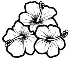 Hawaiian Flowers Drawing Easy 11 Best Hibiscus Drawing Images In 2019 Hibiscus Drawing Hibiscus