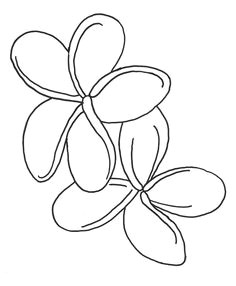 Hawaiian Flowers Drawing Easy 275 Best Hawaiian Flower Arrangements and Wedding Flowers Images