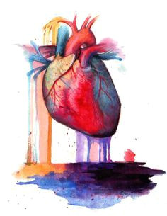Heart Drawing Watercolor Painting A Human Heart Google Search 4sketching and Painting
