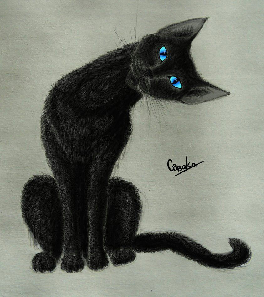 Here is A Drawing Of A Cat Aesthetically Pleasing Black Cat Art Blue Eyes Kitty Kitten