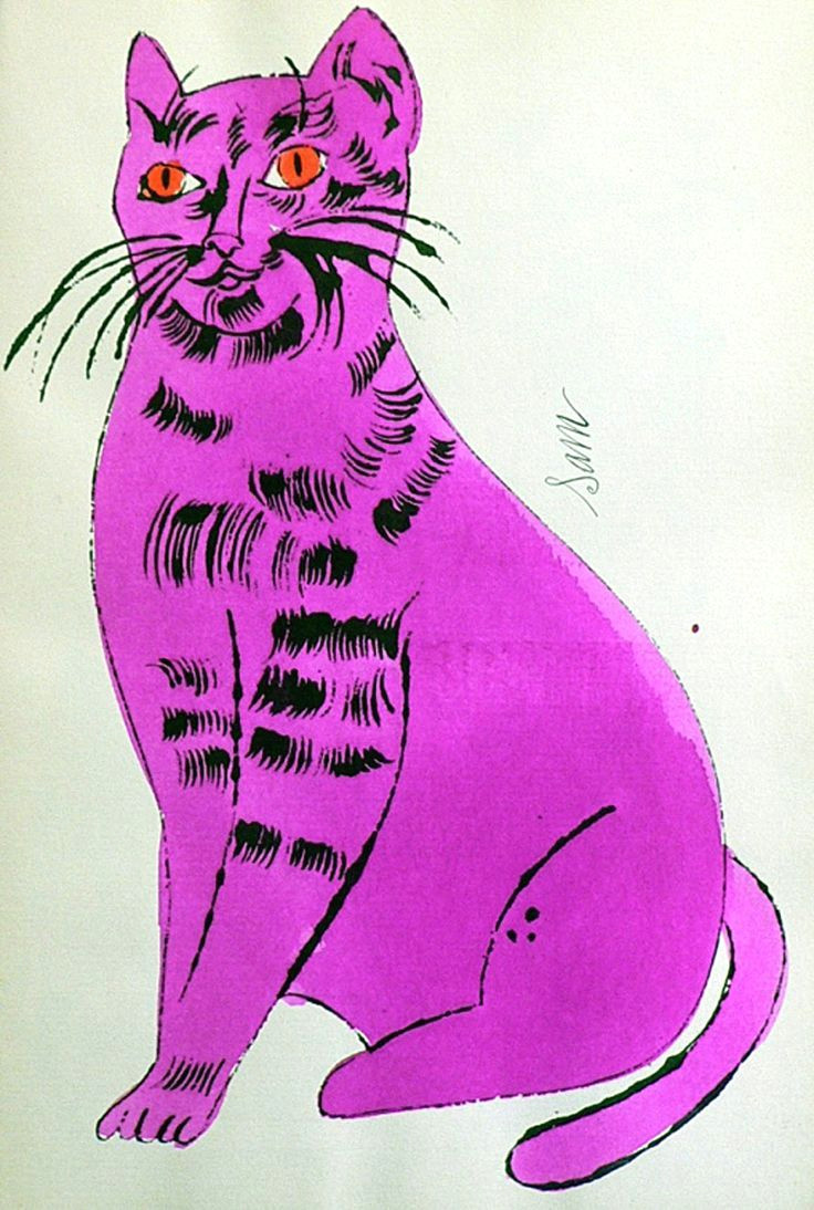 Here is A Drawing Of A Cat the Best Things to Do In Miami south Beach A Complete Travel Guide
