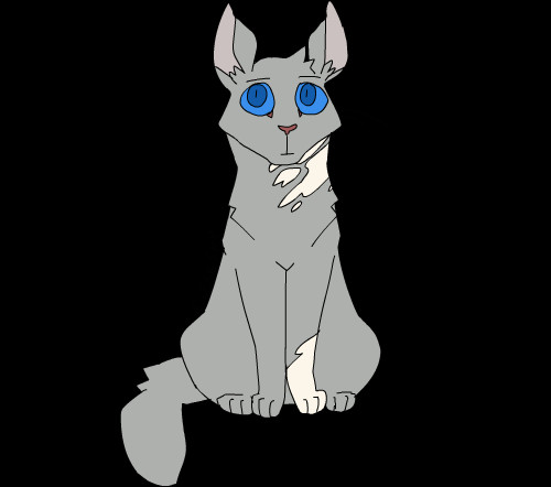 Here is A Drawing Of A Cat You Can Use Any Of the Designs In Here to Be Drawn List Warrior