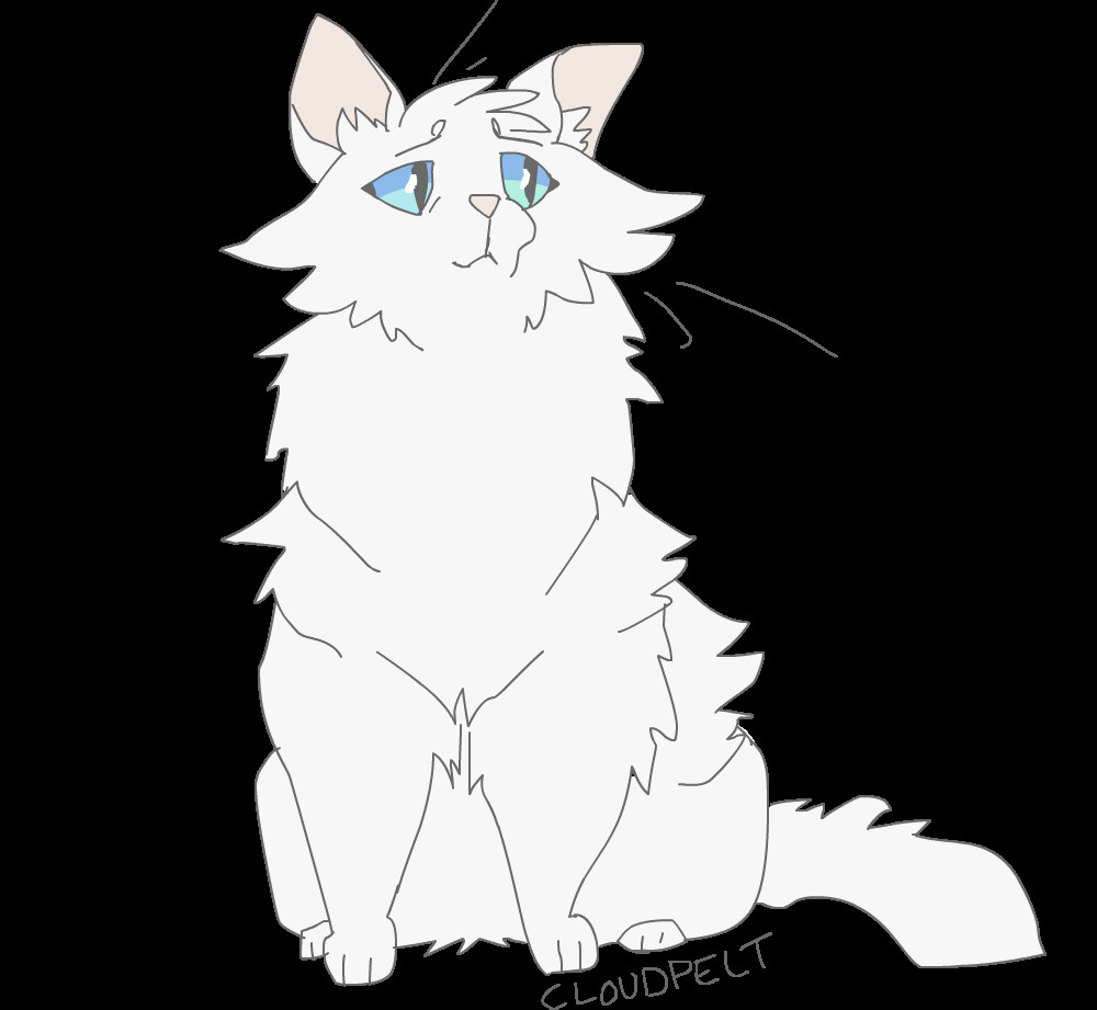 Here is A Drawing Of A Cat You Can Use Any Of the Designs In Here to Be Drawn List Warrior