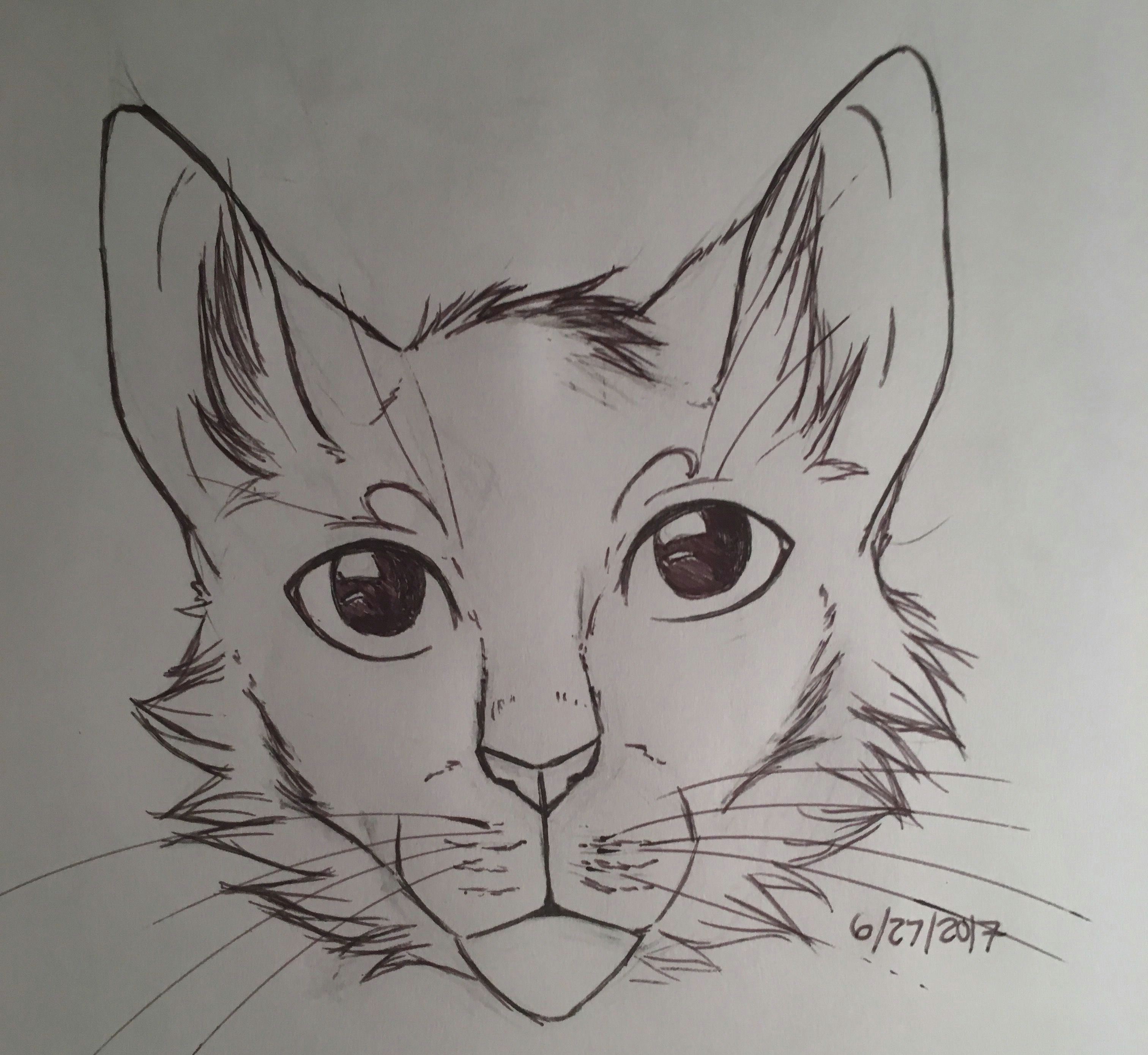 Here S A Drawing Of A Cat Here S some Random Cat A My Art A Pinterest Random