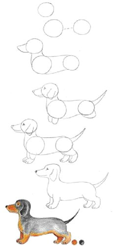 Hot Dogs Drawing Step by Step 126 Best Dachshund Drawing Images In 2019 Dachshund Drawing