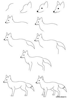 Hot Dogs Drawing Step by Step the Kids Will Love This How to Draw A Dog Step by Step Instructions