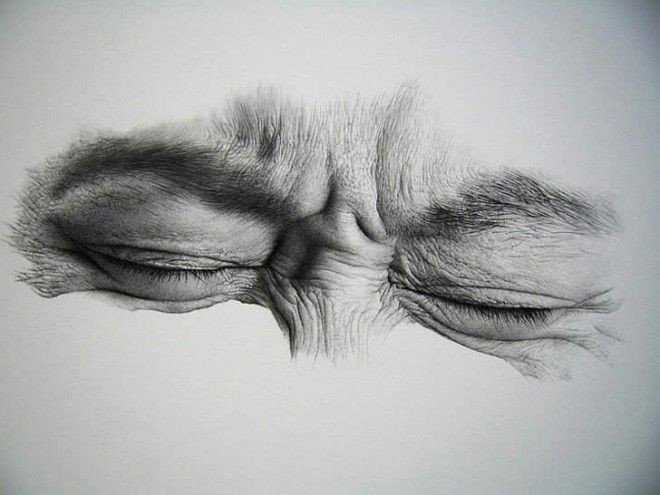 Hyper Realistic Drawing Of An Eye 50 Realistic Pencil Drawings and Drawing Ideas for Beginners