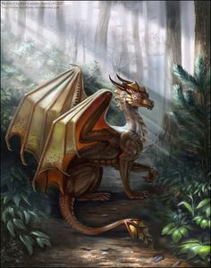 I_like_drawing_dragons Die 906 Besten Bilder Von Dragons In 2019 Fantasy Creatures