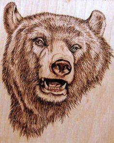 I M Drawing A Bear 50 Best Bear Sketches Images Animal Drawings Bear Sketch Bear Art