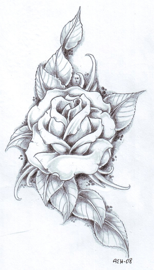 Images Of A Drawing Of A Rose Rose with Banner New Easy to Draw Roses Best Easy to Draw Rose