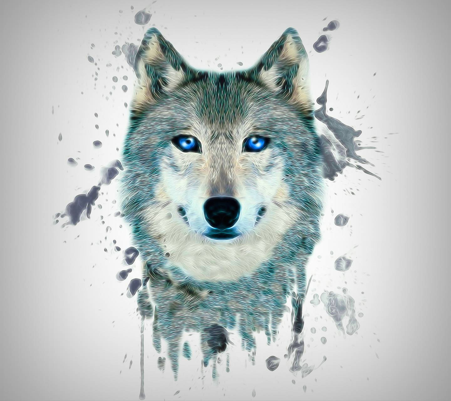 Images Of A Drawing Of A Wolf Fractal Wolf Wallpaper by S 0d Free On Zedgea