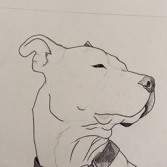Ink Drawing Dogs Beginning A Drawing Of My Beat Box as An Example to Put On My Etsy