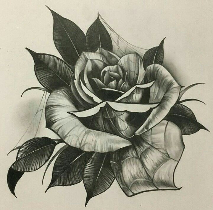 Ink Drawing Of A Rose Pin by Calen Curley On Ink Ideationssss Neo Traditional Roses