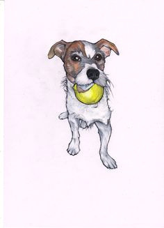 Jack Russell Dog Drawing 222 Best Jack Russell Terrier Art and Gifts Images In 2019 Jack