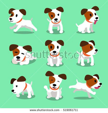 Jack Russell Dog Drawing Jack Russell Terrier Clipart Animal 7 Love Jacks Terrier Dogs